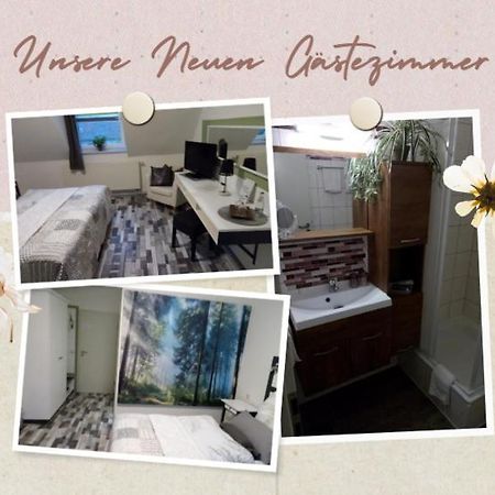 Schlossparkhotel Sallgast Εξωτερικό φωτογραφία