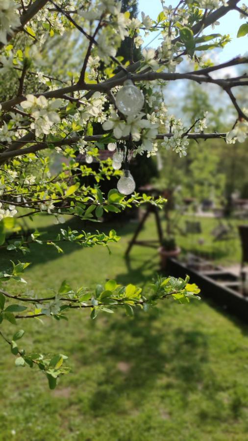 Schlossparkhotel Sallgast Εξωτερικό φωτογραφία